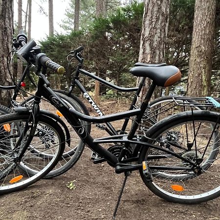 L Oree De La Pinede Hardelot Plage A 800 Metres De La Mer Sous Les Pins エクステリア 写真