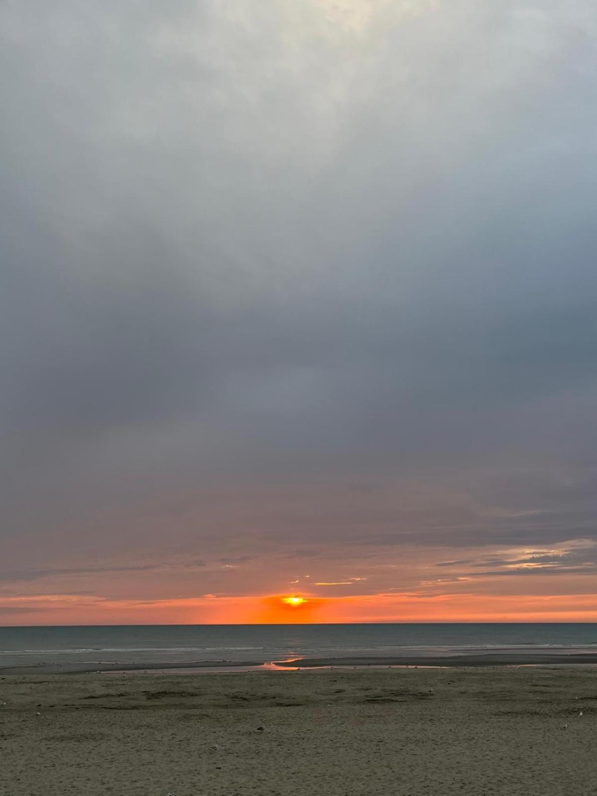 L Oree De La Pinede Hardelot Plage A 800 Metres De La Mer Sous Les Pins エクステリア 写真