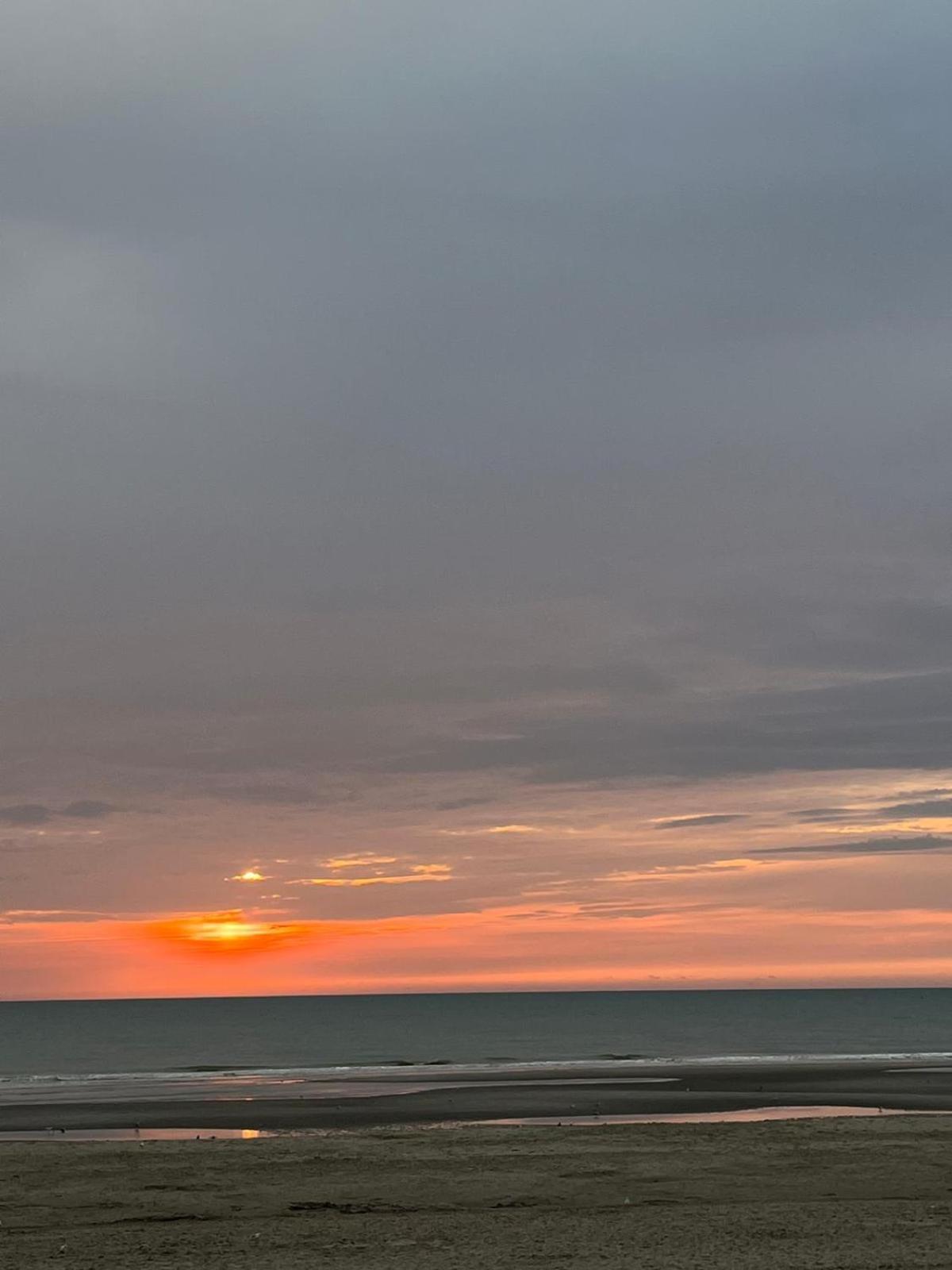 L Oree De La Pinede Hardelot Plage A 800 Metres De La Mer Sous Les Pins エクステリア 写真