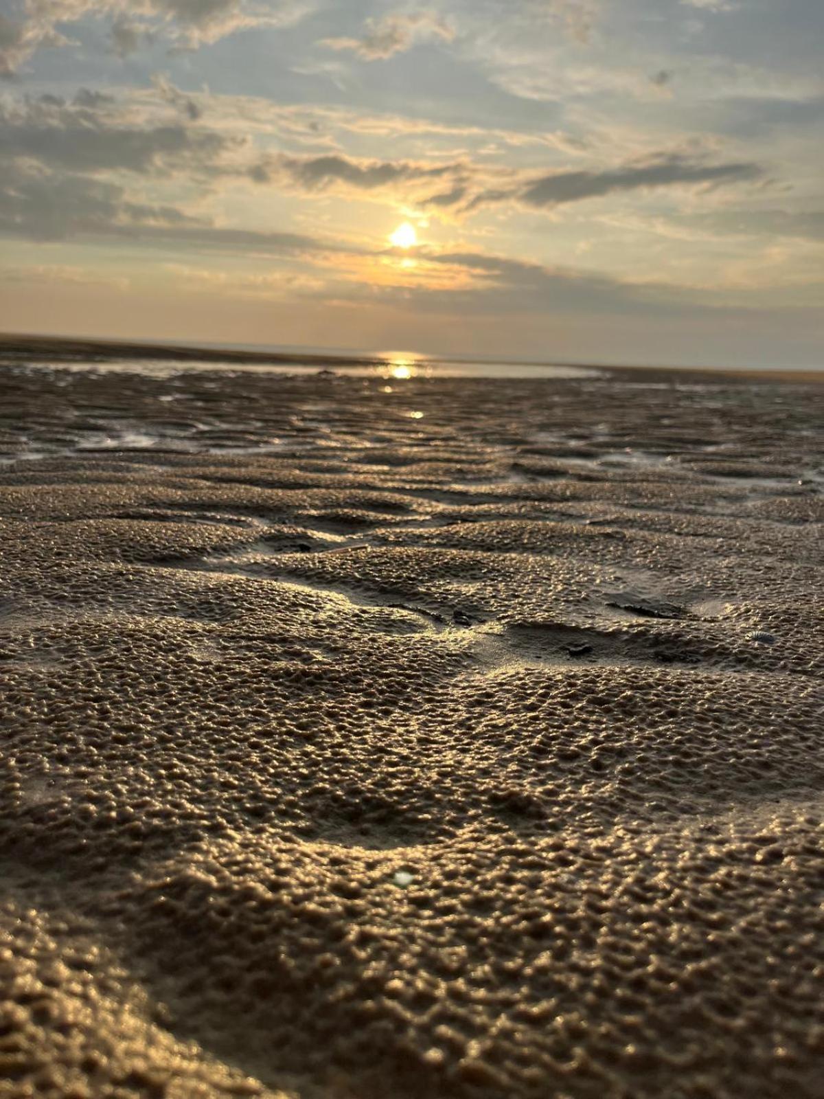 L Oree De La Pinede Hardelot Plage A 800 Metres De La Mer Sous Les Pins エクステリア 写真