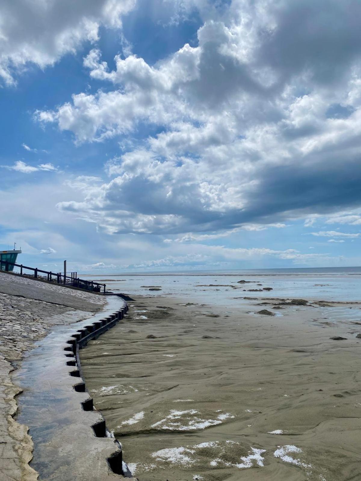 L Oree De La Pinede Hardelot Plage A 800 Metres De La Mer Sous Les Pins エクステリア 写真