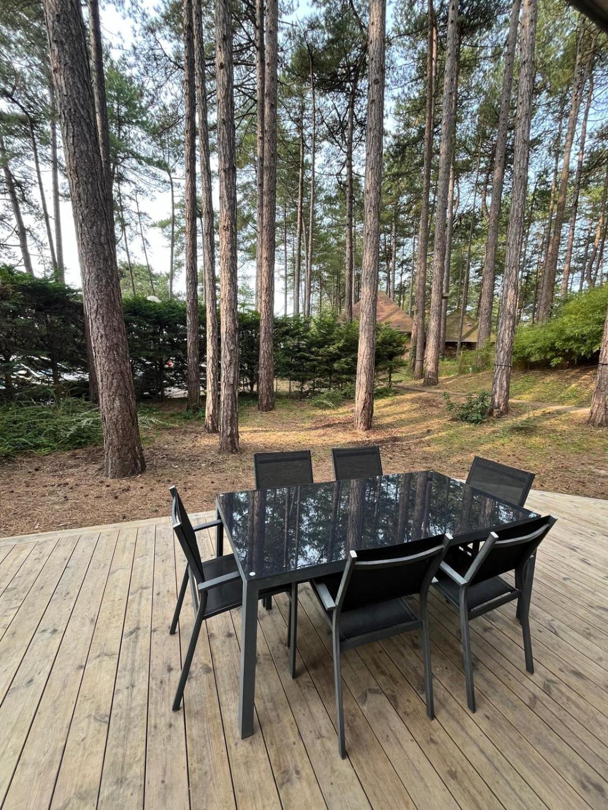 L Oree De La Pinede Hardelot Plage A 800 Metres De La Mer Sous Les Pins エクステリア 写真