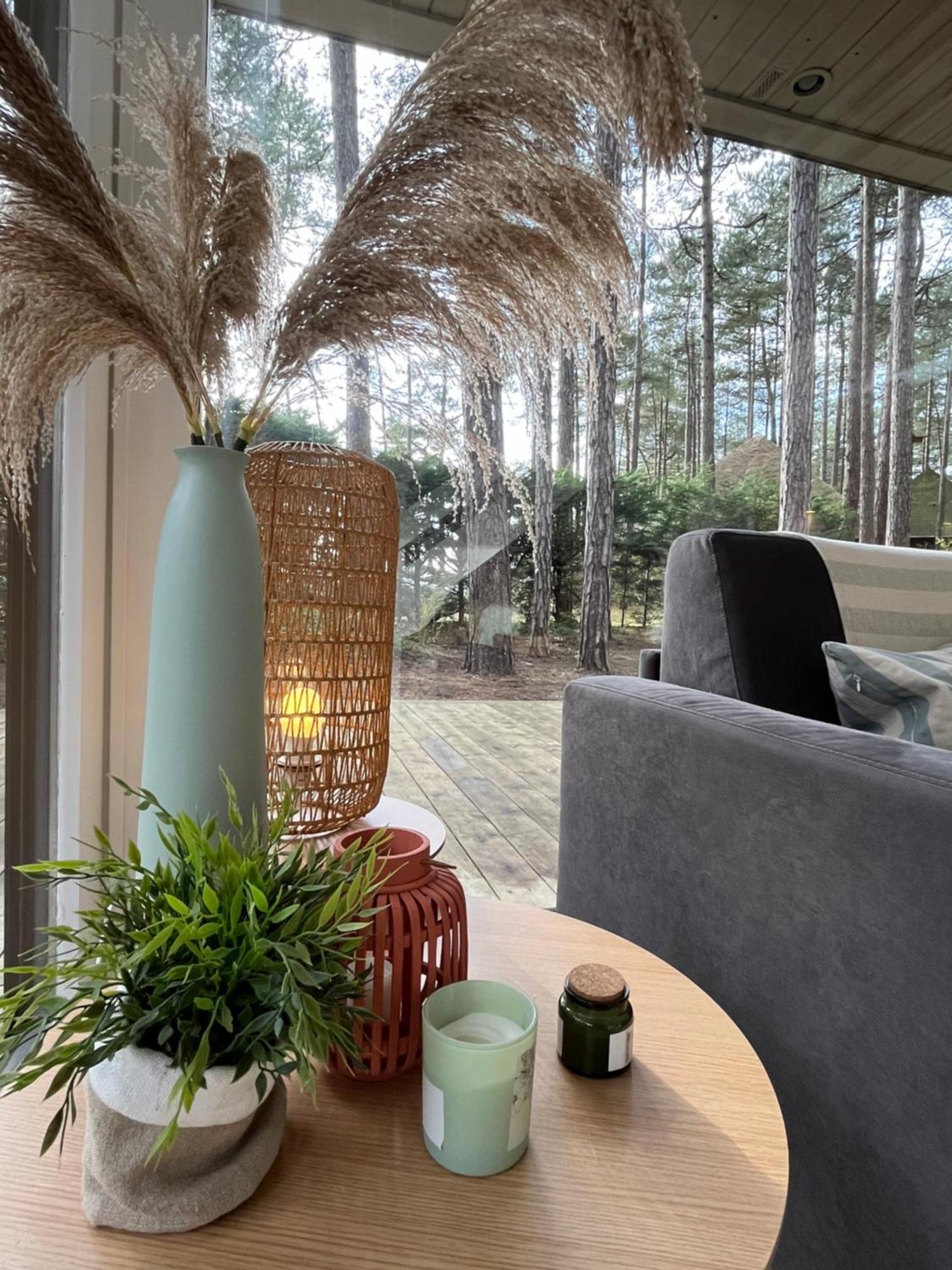 L Oree De La Pinede Hardelot Plage A 800 Metres De La Mer Sous Les Pins エクステリア 写真