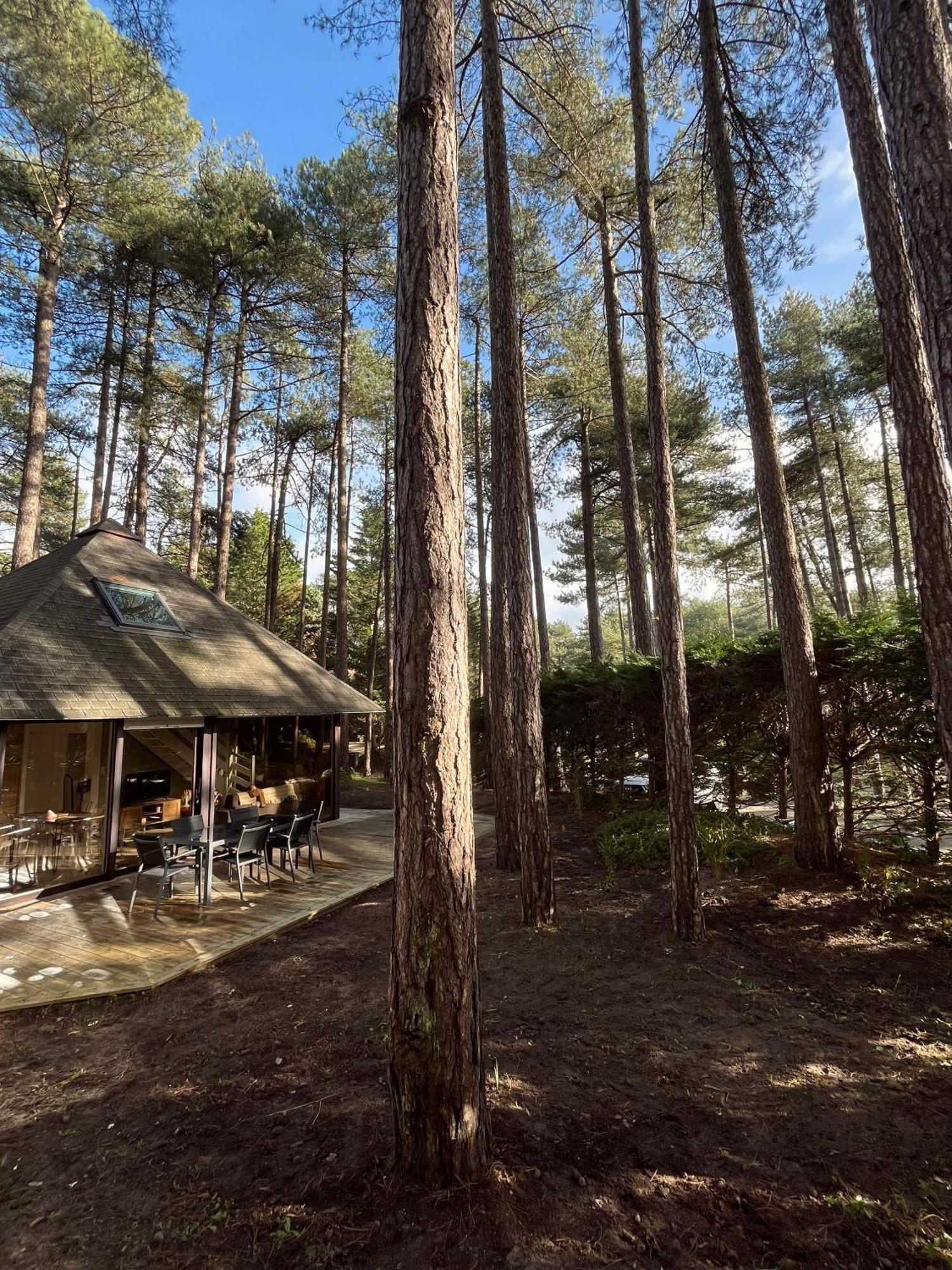 L Oree De La Pinede Hardelot Plage A 800 Metres De La Mer Sous Les Pins エクステリア 写真